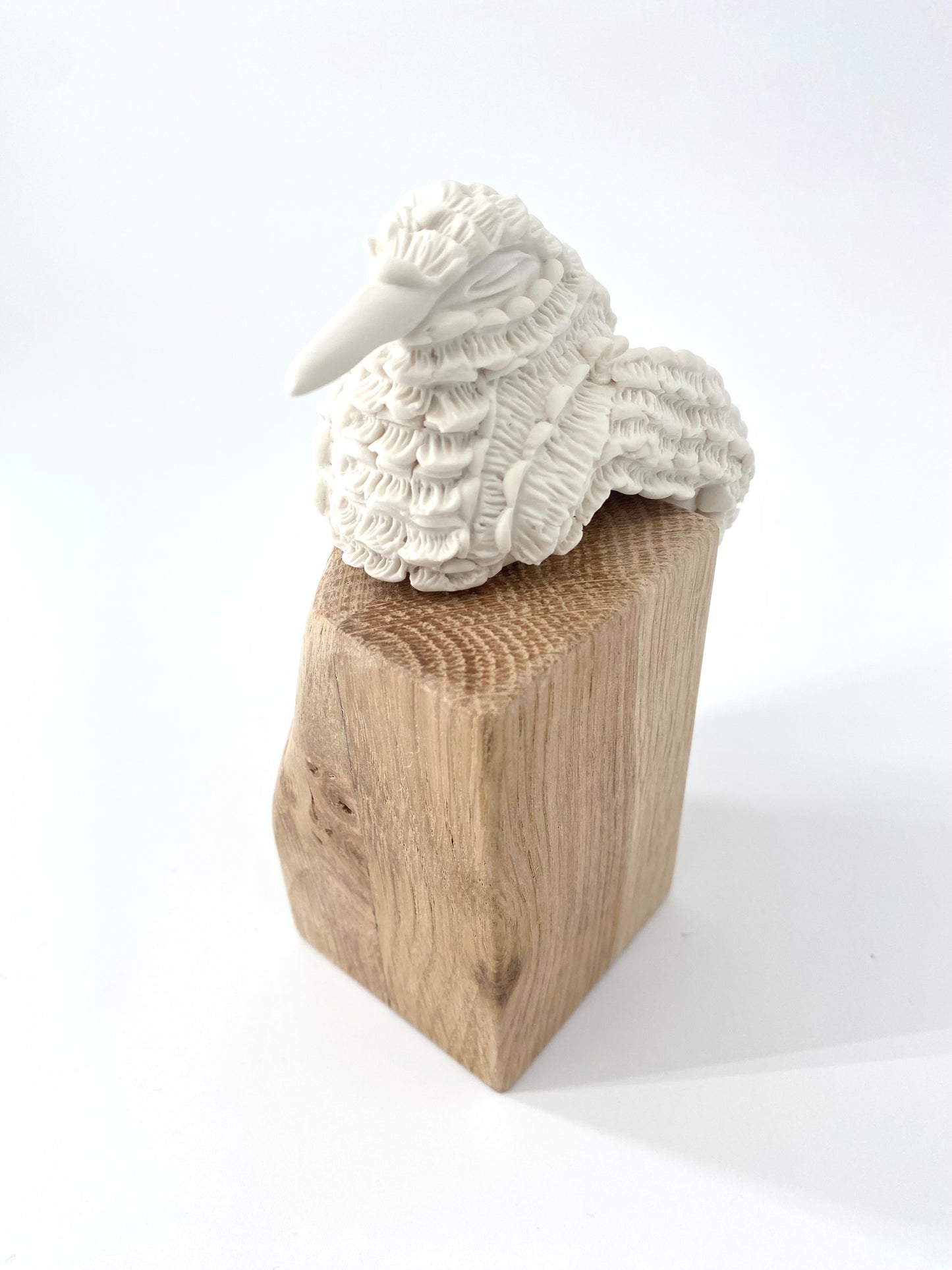 Colibri en porcelaine sur socle en bois- Collection Dentelle - Pièce unique - Sarang Porcelaine