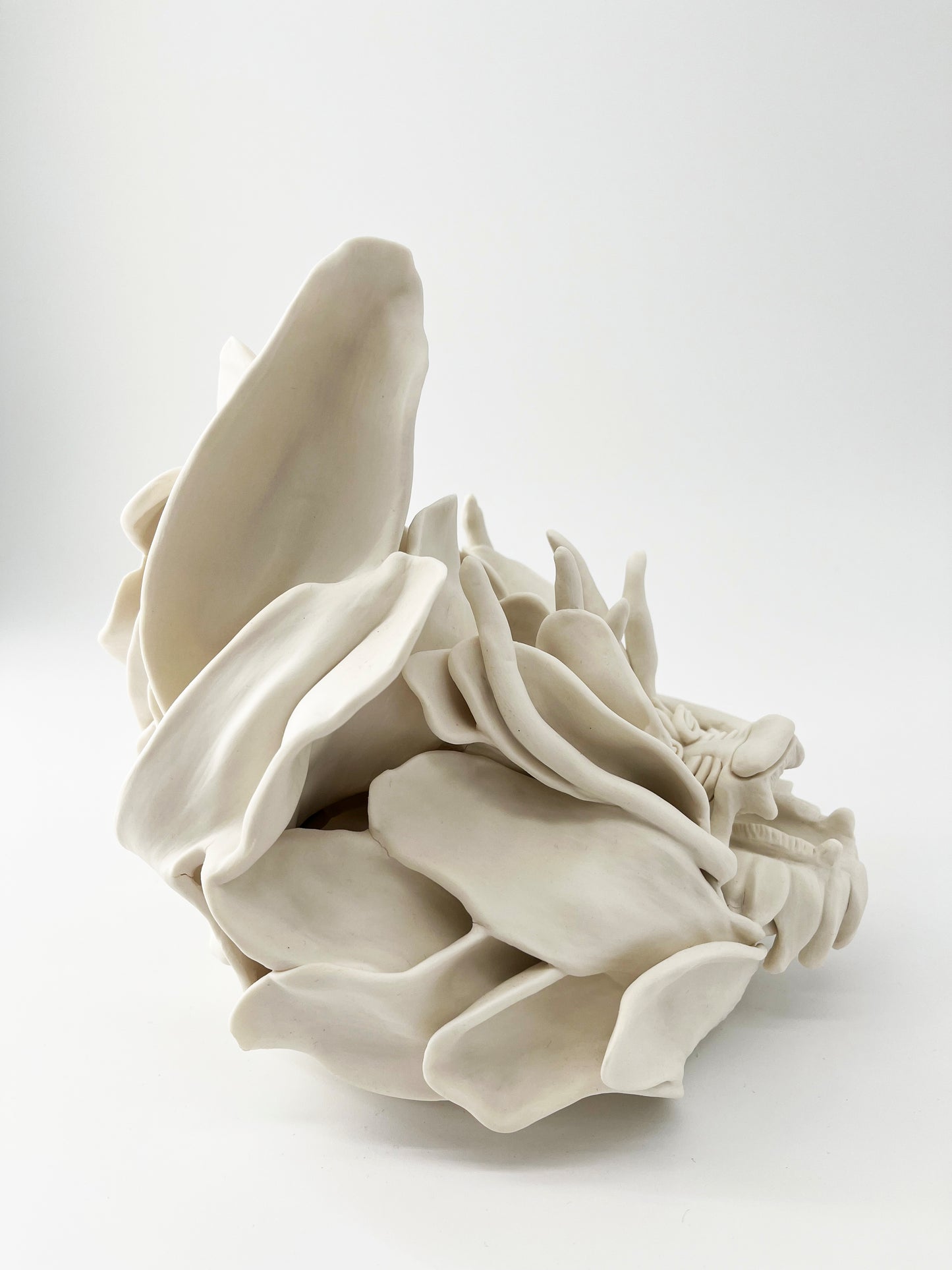 Pure white Dragon – Sculpture en porcelaine- Sarang Porcelaine