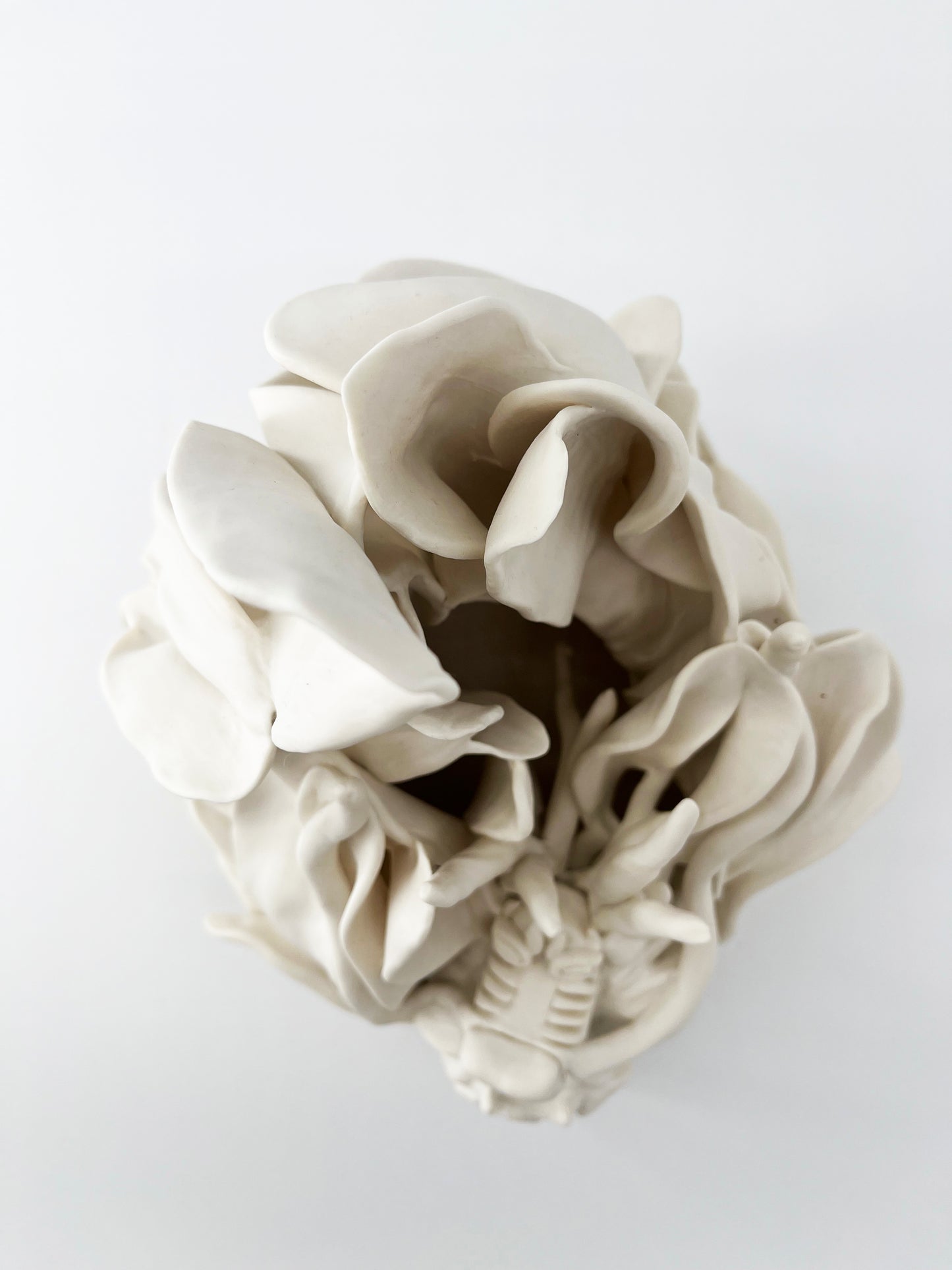 Pure white Dragon – Sculpture en porcelaine- Sarang Porcelaine