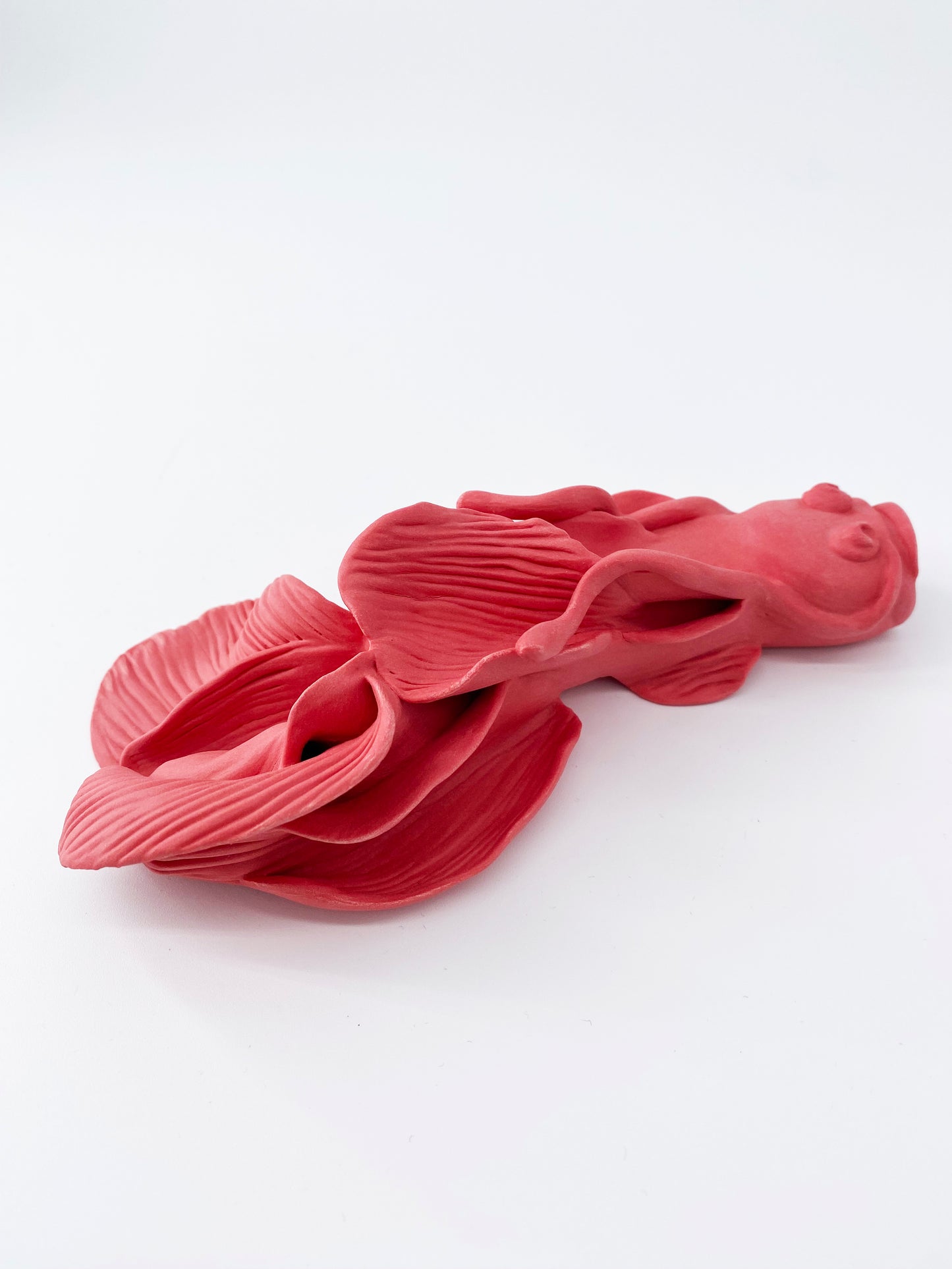 Carpe Rouge corail- Pièce unique en porcelaine - Sarang Porcelaine
