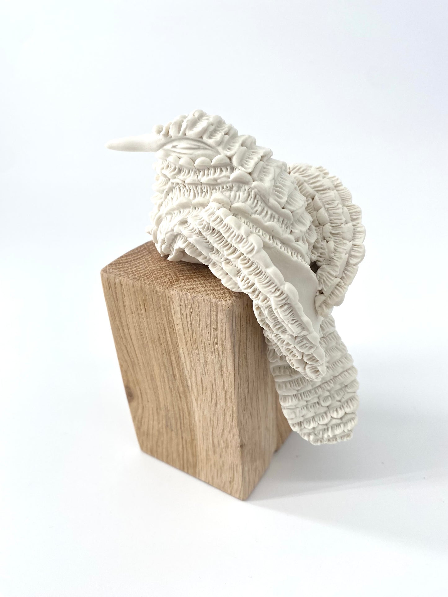 Colibri en porcelaine sur socle en bois- Collection Dentelle - Pièce unique - Sarang Porcelaine