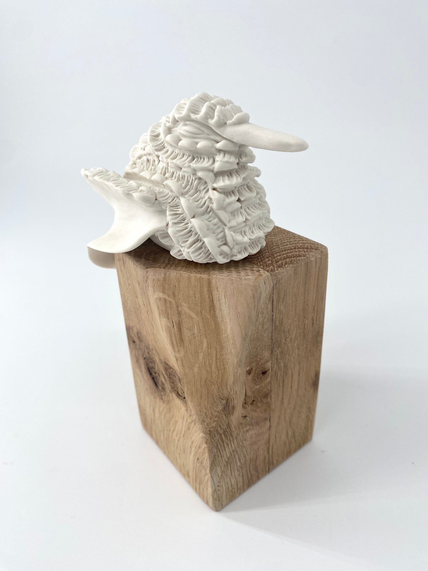 Colibri en porcelaine sur socle en bois- Collection Dentelle - Pièce unique - Sarang Porcelaine