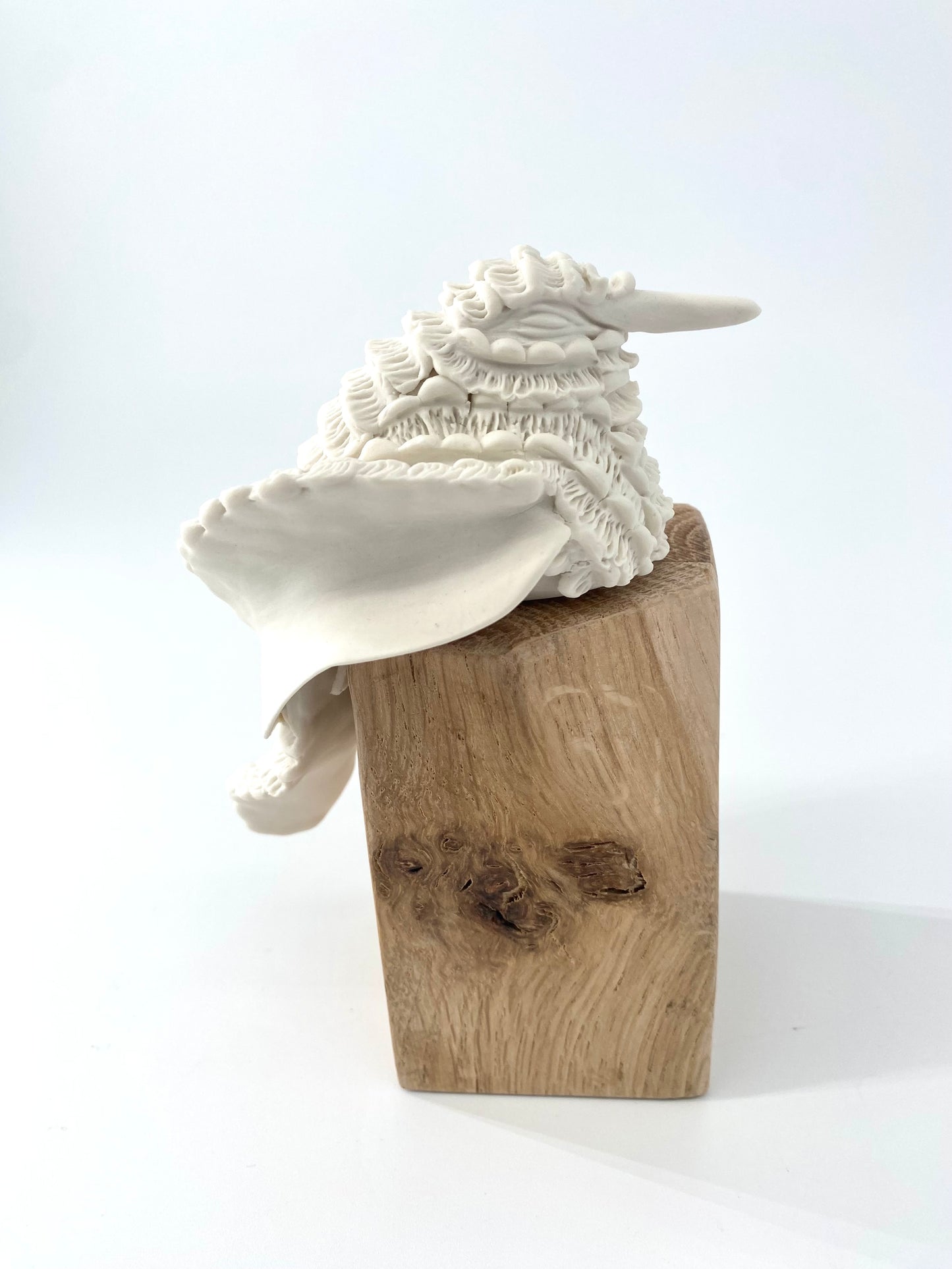 Colibri en porcelaine sur socle en bois- Collection Dentelle - Pièce unique - Sarang Porcelaine