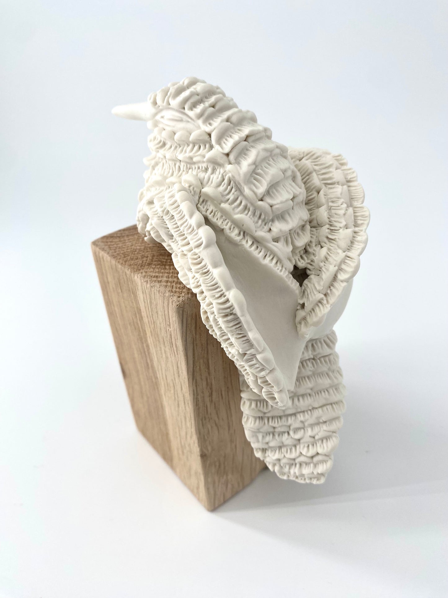 Colibri en porcelaine sur socle en bois- Collection Dentelle - Pièce unique - Sarang Porcelaine